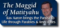 The Maggid of Matityahu